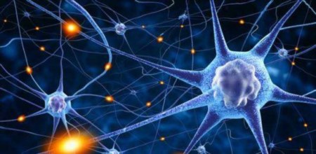 Alzheimer e Parkinson, nuovi studi e speranze di successo terapeutico