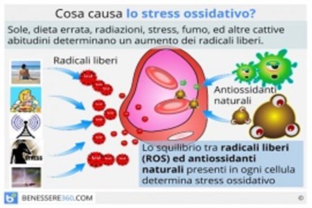 Un approccio promettente per ridurre lo stress ossidativo